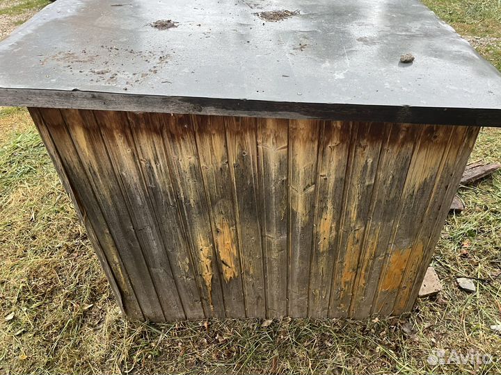 Собачья будка