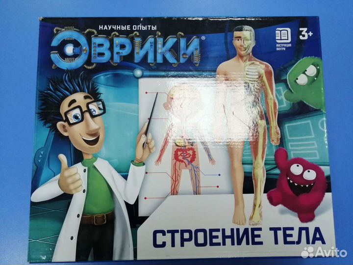 Развивающ. игра макет человека