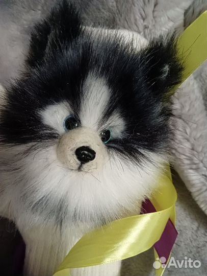 Звероварежки.Хасики