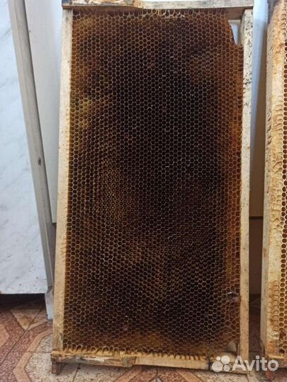 Сушь Рут Соторамки