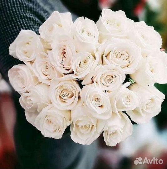 Высокие Розы с Доставкой