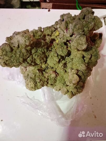 Грот для аквариума