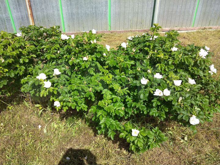 Дача 96 м² на участке 10 сот.