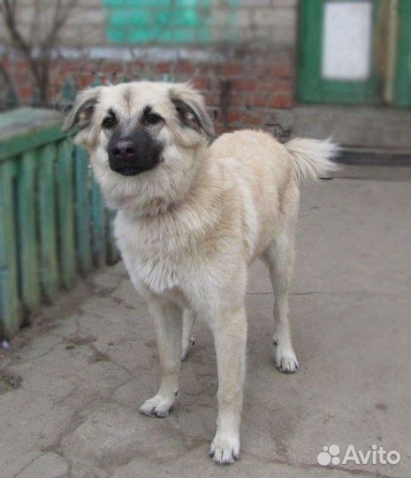 Марта ищет дом и хозяина