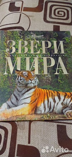 Книга с цветными элюстрациями