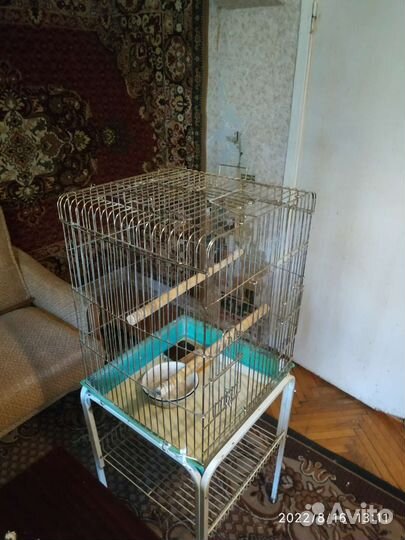 Клетка для крупного попугая с подставкой