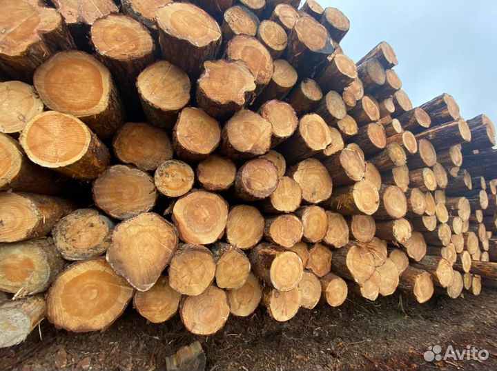 Брус доскА рейкА