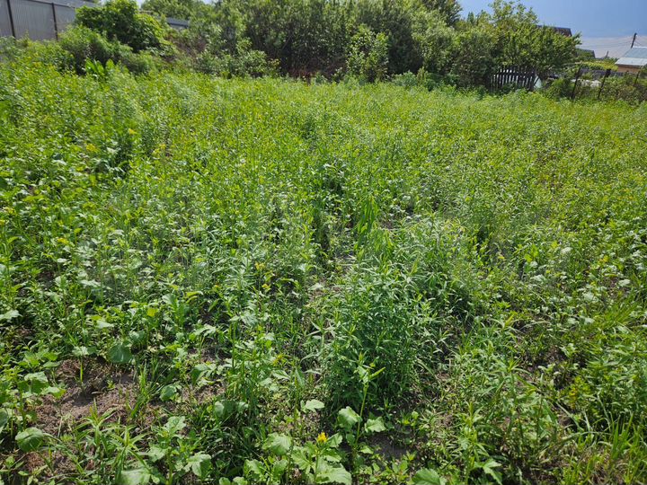 Дом 15 м² на участке 6 сот.