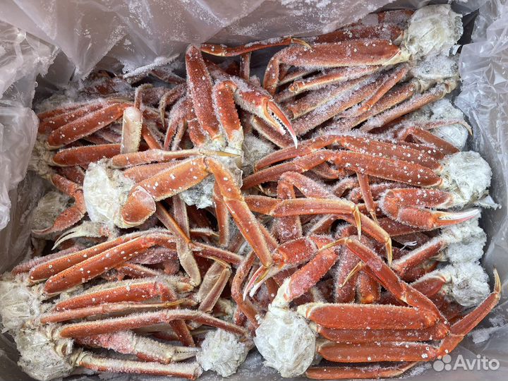 Краб стригун