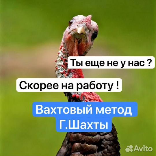 Разнорабочие г.Шахты птицефабрика вахта