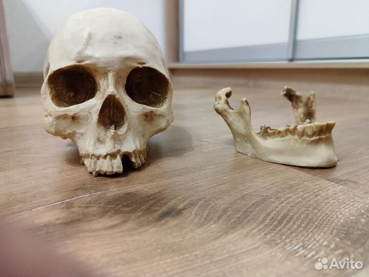 Коллекционные фигурки