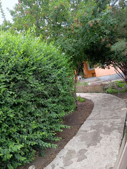 Дом 97 м² на участке 11 сот.