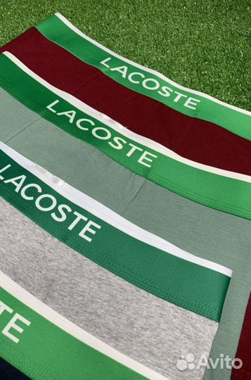 Трусы lacoste мужские боксеры