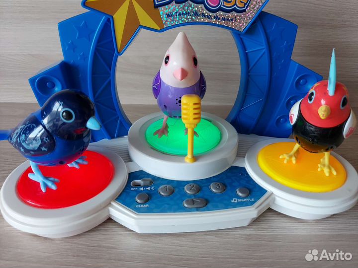 Интерактивные птички DigiStage