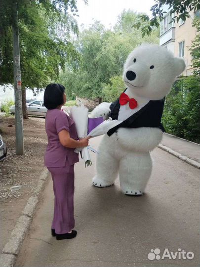 Поздравление от белого медведя по имени Тучка