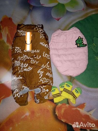 Вещи на маленьких собак