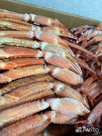 Сахалинские клешни краба стригуна