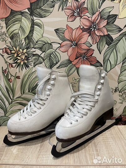 Коньки Wifa 30L delux