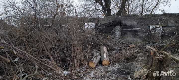Сад и благоустройство