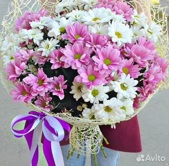 Хризантемы