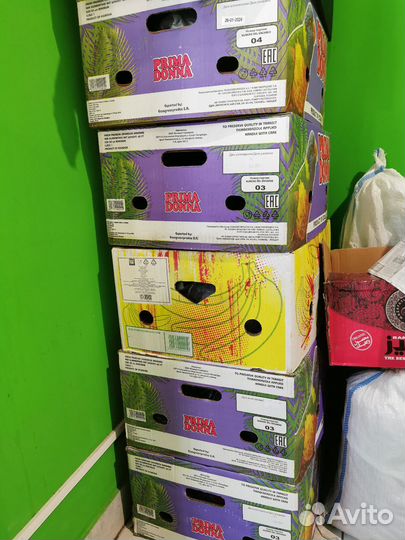 Банановые коробки новые