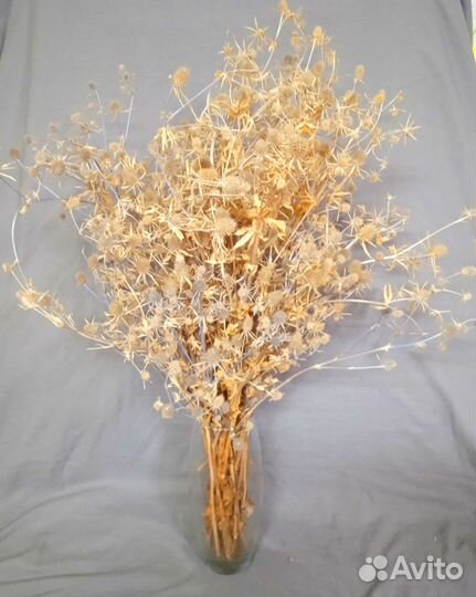 Букет полевых цветов (сухоцветы)