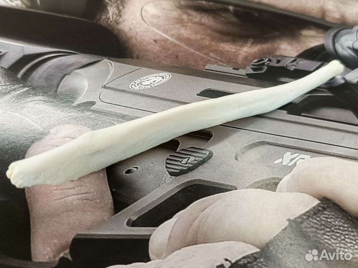 Бакулюм Волка (косточка в пенисе)