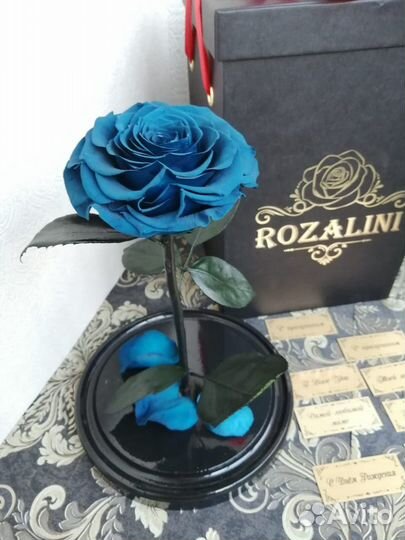 Роза в колбе(живая роза,простоит 5лет)