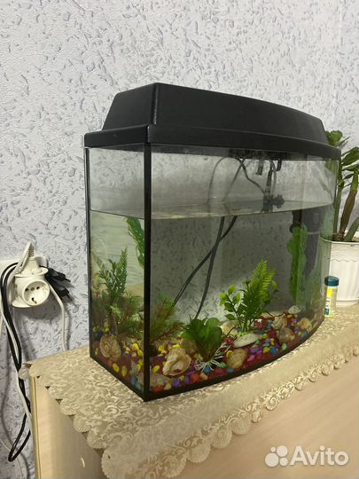 Аквариум