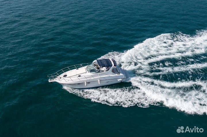 Аренда яхты - катера Принц