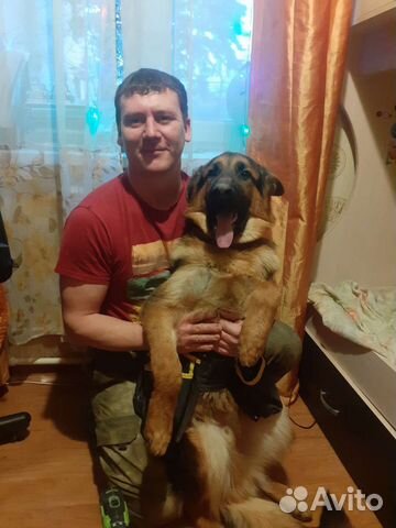 Мастер на час сантехник электрик мебельщик