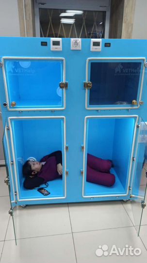 Боксы в стационар для животных ветклиники
