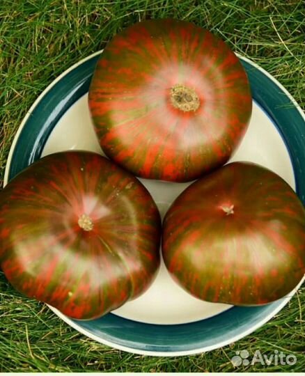 Семена коллекционных сортов томатов