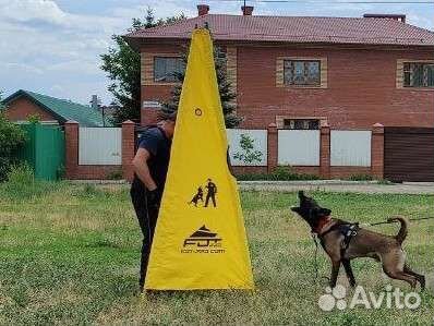 Кинолог, воспитание и дрессировка собак