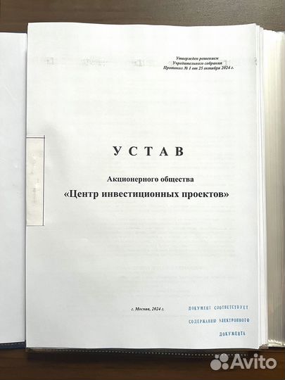 Ао «Центр инвестиционных проектов». Готовое ао. Го