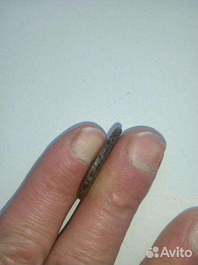 Копейка Екатерины