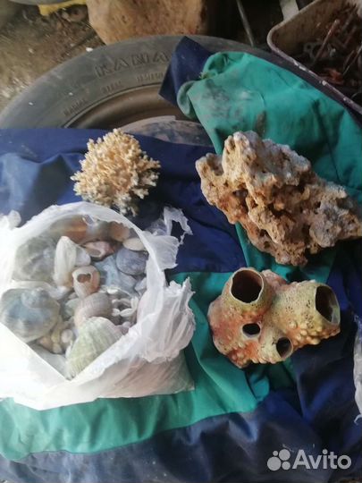 Декорации для аквариума