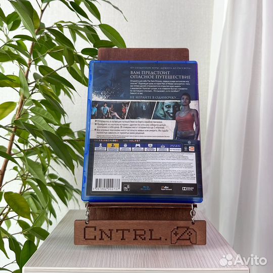 The Dark Pictures Man Of Medan PS4/PS5 Диск