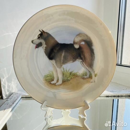 Декоративная тарелка «собаки»