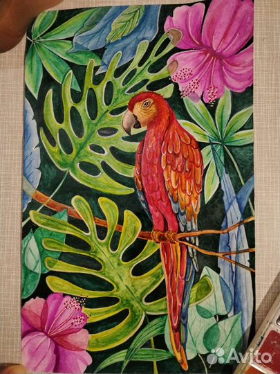 Акварельные рисунки