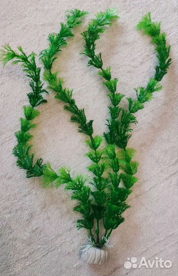 Декоративные конструкции и растения для аквариума