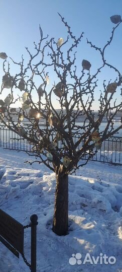 Тур териберка рыбачий Хибины Ловозеро туры,Средний