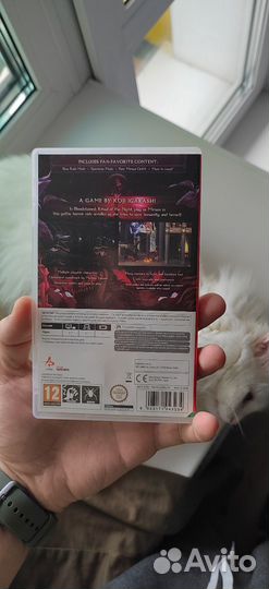 Bloodstained ritual of the night Nintendo switch