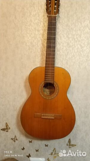 Концертная