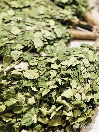 Берёзовый веник