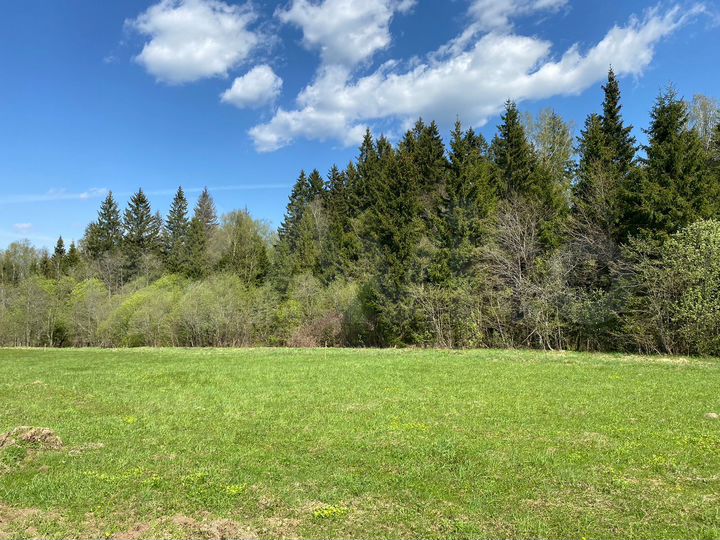 Участок 6,3 сот. (ИЖС)