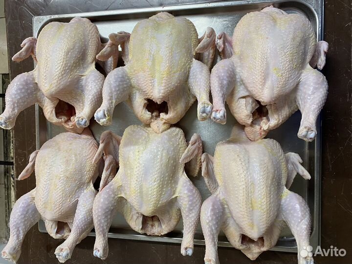 Мясо домашней курицы