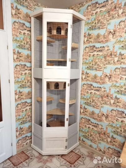 Клетки - витрины