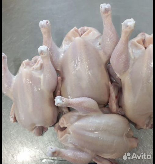 Мясо домашней птицы