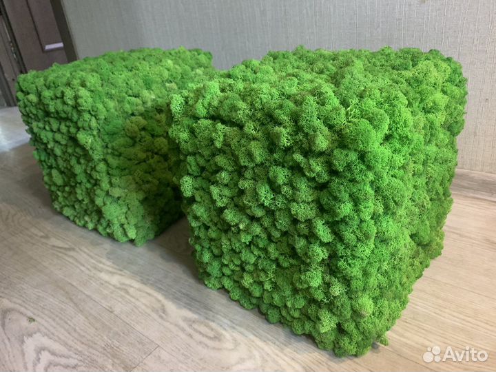 Панно из мха 0,35х0,6